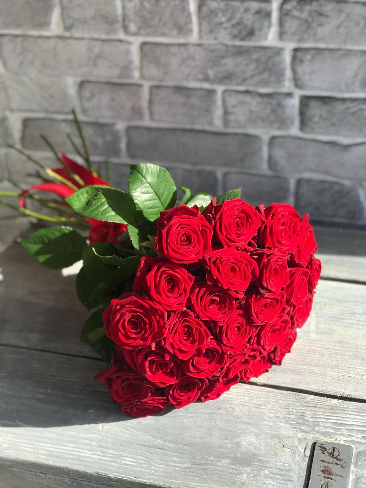 Букет Красные розы Фридом в Доры