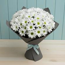 Букет цветов из:  Хризантемы #REPLACE_PRED# Доры