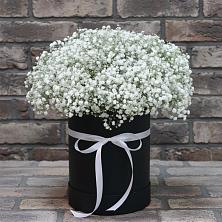 Цветочная композиция из Гипсофила в шляпной коробке в Доры